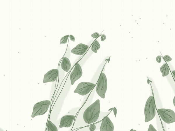 2017木瓜奇迹攻略，木瓜奇迹技能点