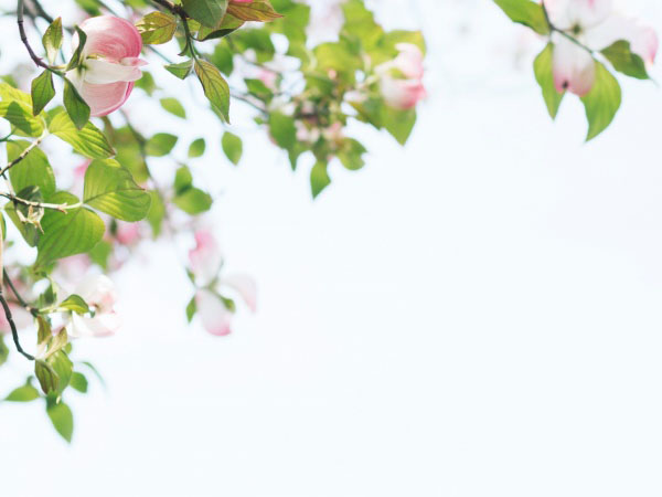 地牢传奇杀n，DE是三角行ABC的中位线MN分别是BDCE的中点MN6BC