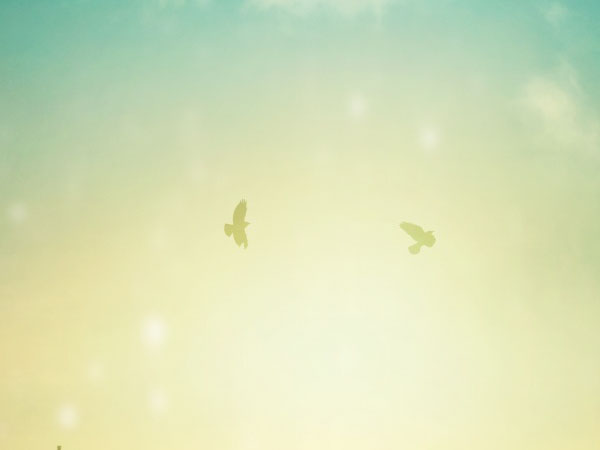 哪里可以投诉手游公司，游戏公司归谁管的要去哪里投诉