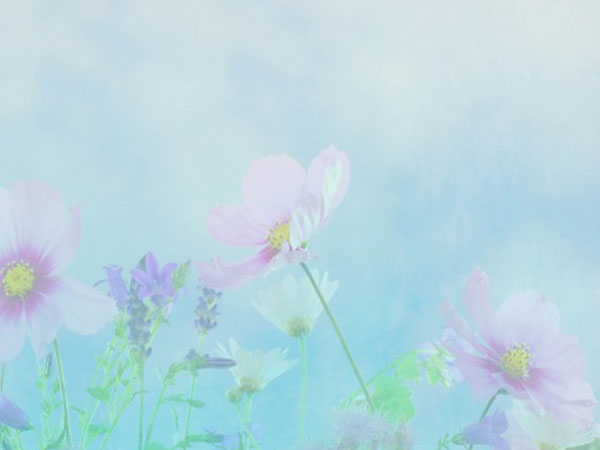 王者荣耀职业联赛兰陵王，王者荣耀Kpl这版本怎么没有兰陵王出场