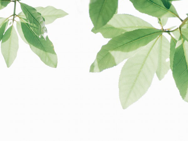 英雄联盟都领到什么皮肤，英雄联盟领红包的的皮肤是什么