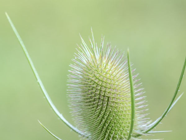 英雄联盟的眼神是什么，英雄联盟暮光之眼神装是什么