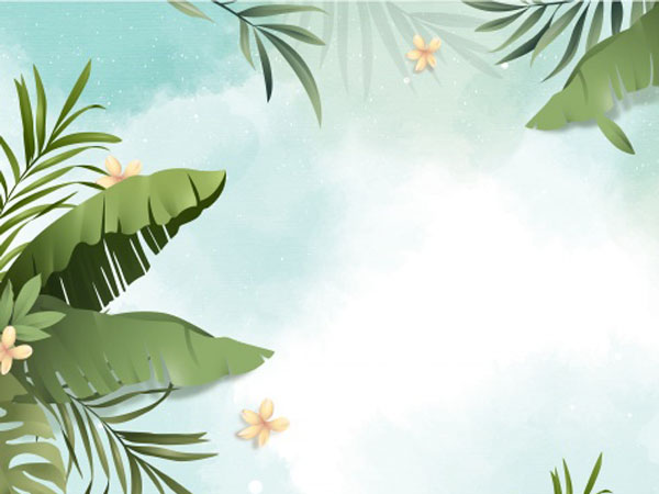 王者荣耀ag jc，成都ag超玩会成员名单