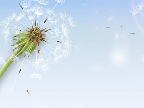 樱桃电影下载,樱桃电影免费在线观看 → 免费观看樱桃电影