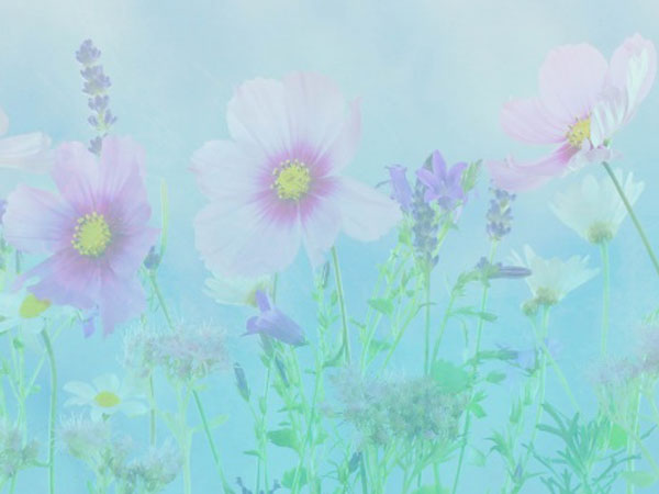 英雄联盟打什么投，英雄联盟 怎么投降