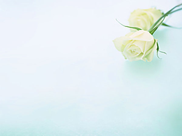 37盒子下载,37盒子应用下载，轻松获取APP