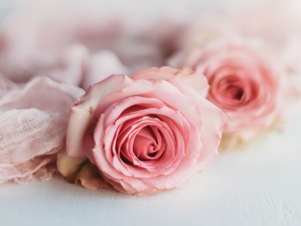 罗盘针,如何使用罗盘针？