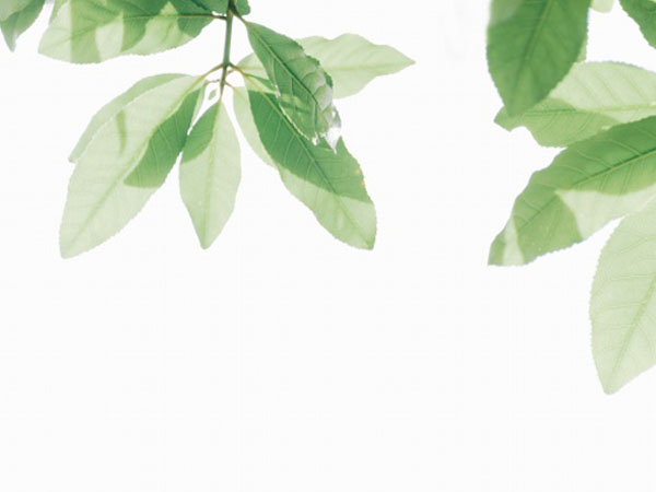 贪玩传世怎么加行会贡献度