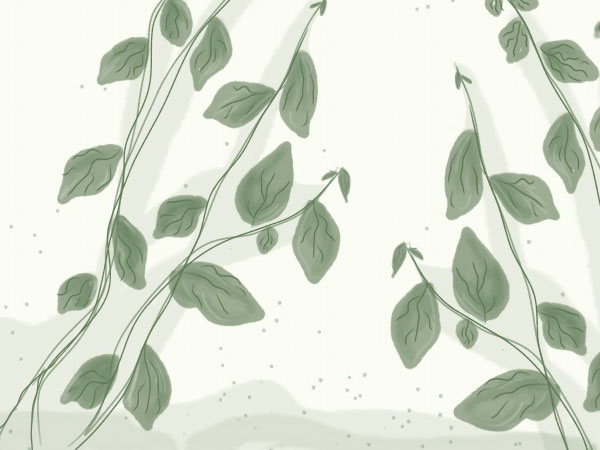 问道手游在哪里把时装，问道手游天使的时装怎么获得