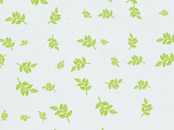 天圣传奇全文阅读，天圣屠龙是什么东西啊